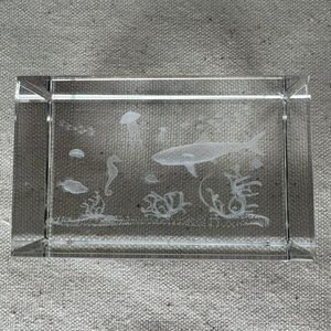 Vintage Glass Etched Laser 3D Image Cube Paperweight Underwater Scene Sea Life